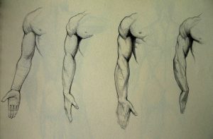 anatomy_study_by_kimsuyeong81-d5cpln5